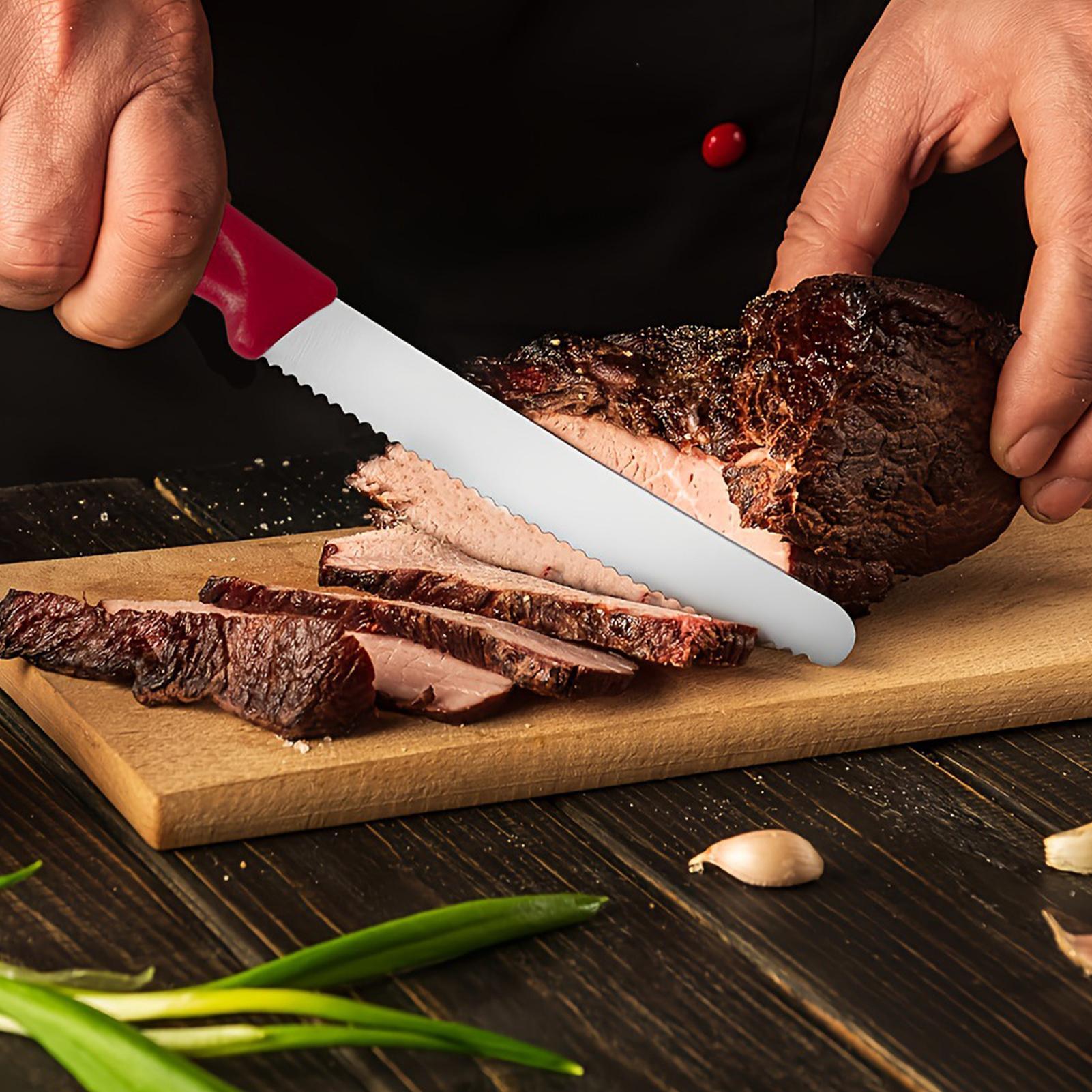 Serrated Steak Cutter 5 Pieces - مراجعة Outdoor Camping Table وسعره