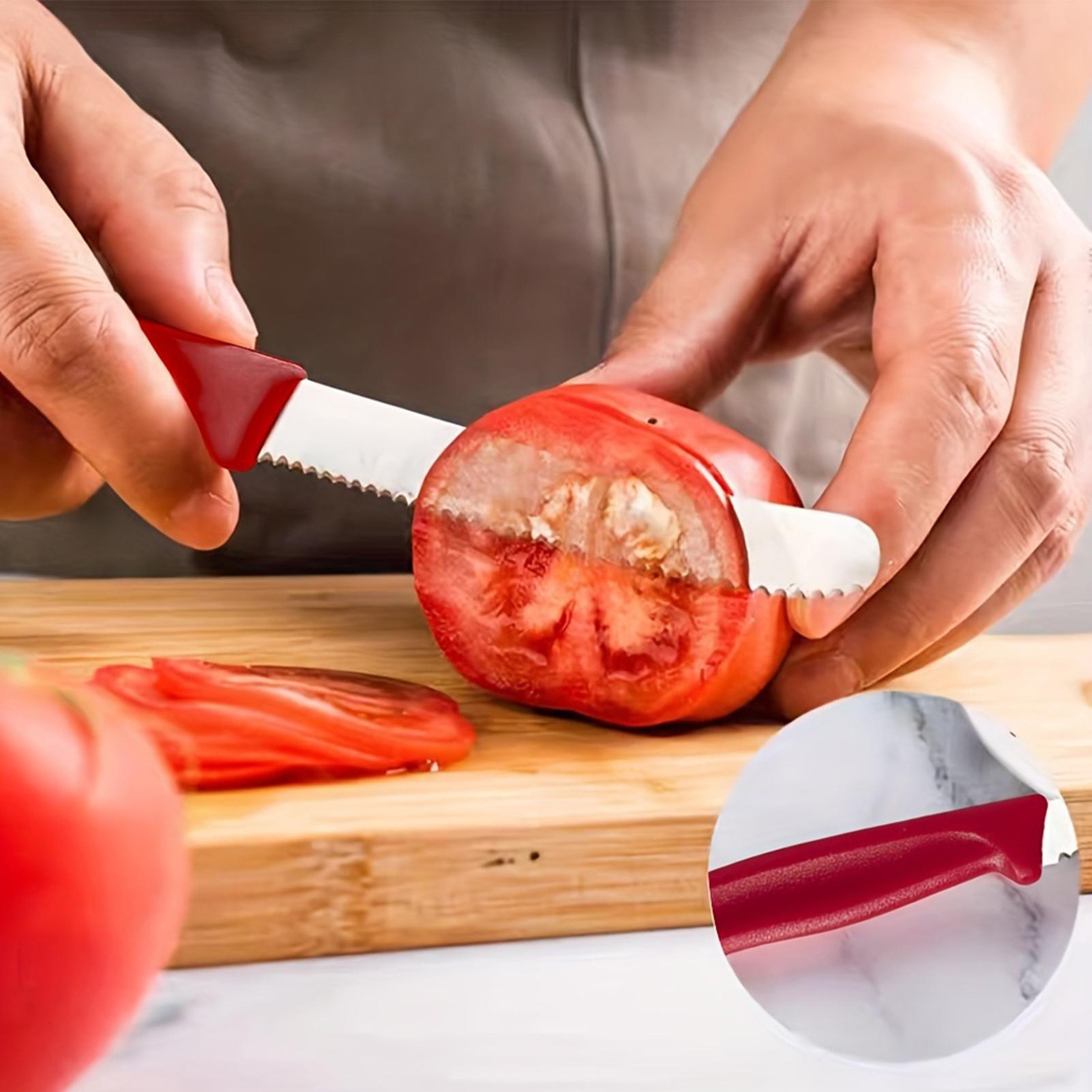 Serrated Steak Cutter 5 Pieces - مراجعة Outdoor Camping Table وسعره