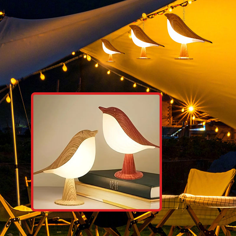 Camping Portable Night Lights  - مراجعة Outdoor Camping Glamping Share وسعره